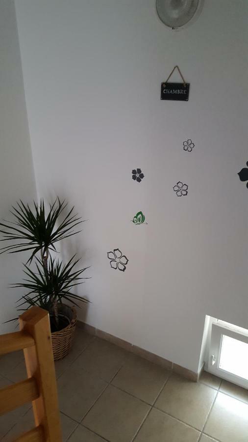 Sunny Day Apartments Sveta Nedjelja  ภายนอก รูปภาพ